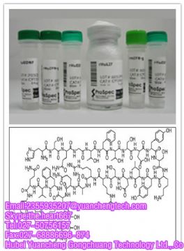 Glucagon(1-29)(Human) 